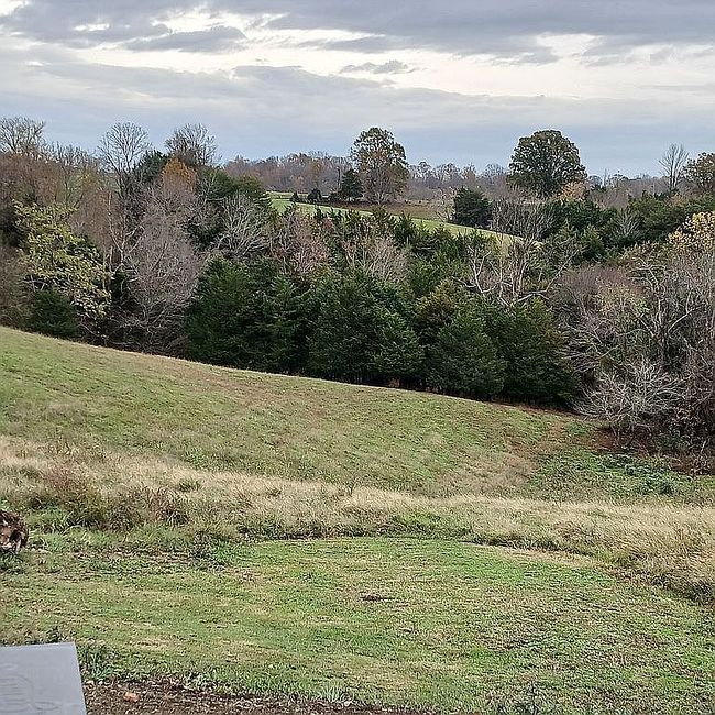 Image of 100 Felton Fudge Rd
