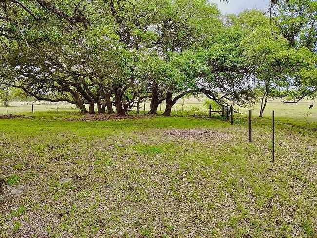 Additional photo 2 of property located at 256 Dixie Ln