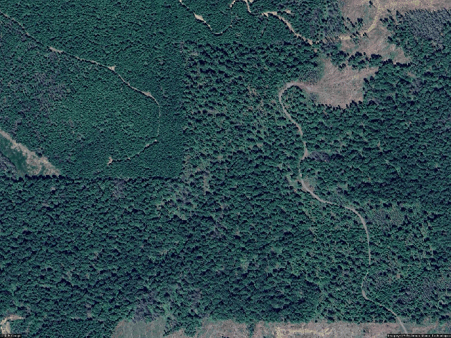 Photo of 45441 Mckenzie Hwy, Walterville, OR