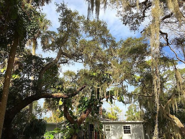 Image of 1252 Country Rd