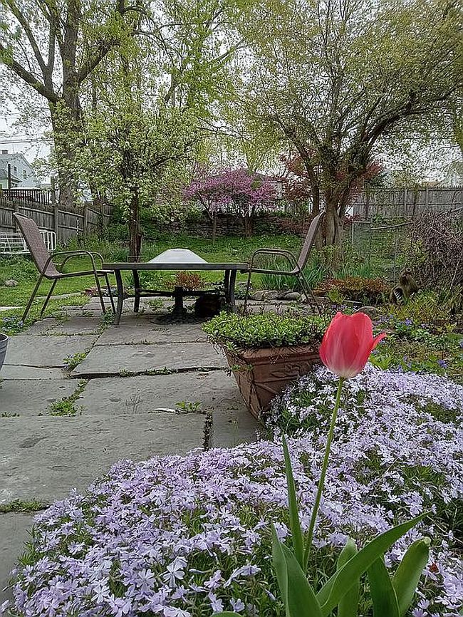 Photo of 319 Prospect Ave, Scranton, PA