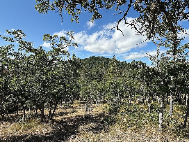 Additional photo 2 of property located at 33 Pine Ridge Rd