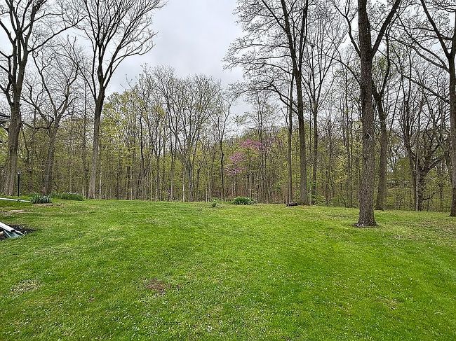 Image of 220 Dogwood Ln