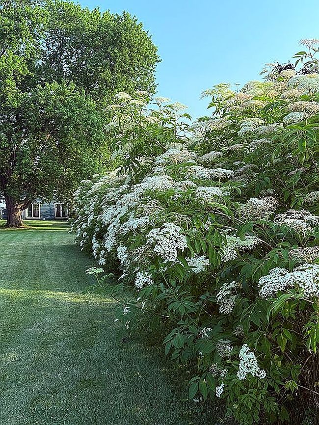 Photo of 2721 W Lake Rd, Wilson, NY