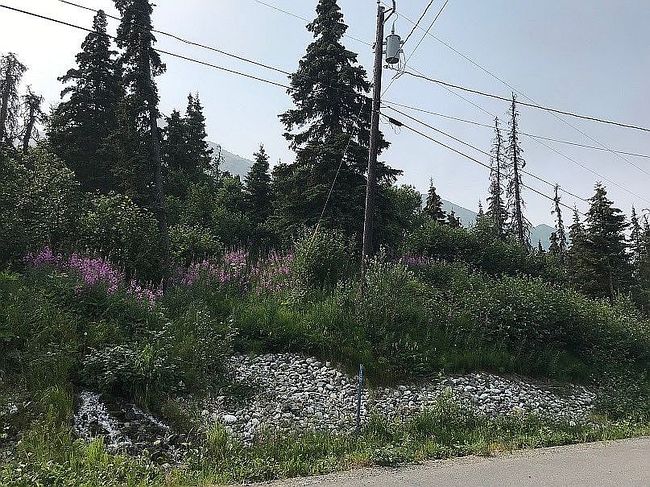Photo of 0 Birdsong Drive, Eagle River, AK
