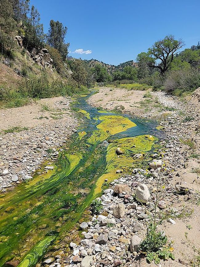 Image of 18222 Caliente Creek Rd