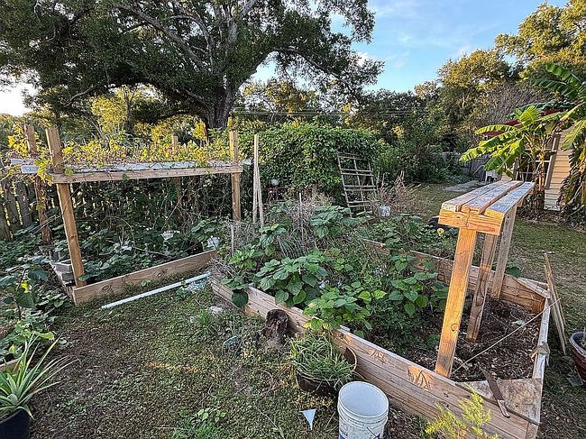 Image of 6605 Lillian Hwy