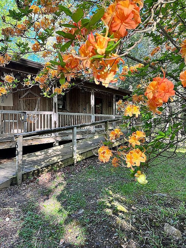 Photo of 60 Bailey Creek Dr