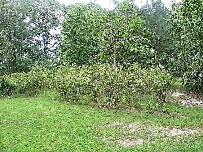 Image of 3130 Cedar Grove Rd