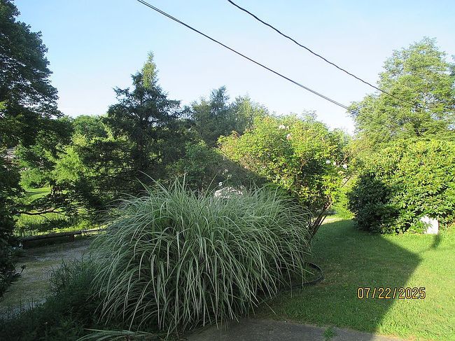 Photo of 118 Foster Rd, Beaver Falls, PA