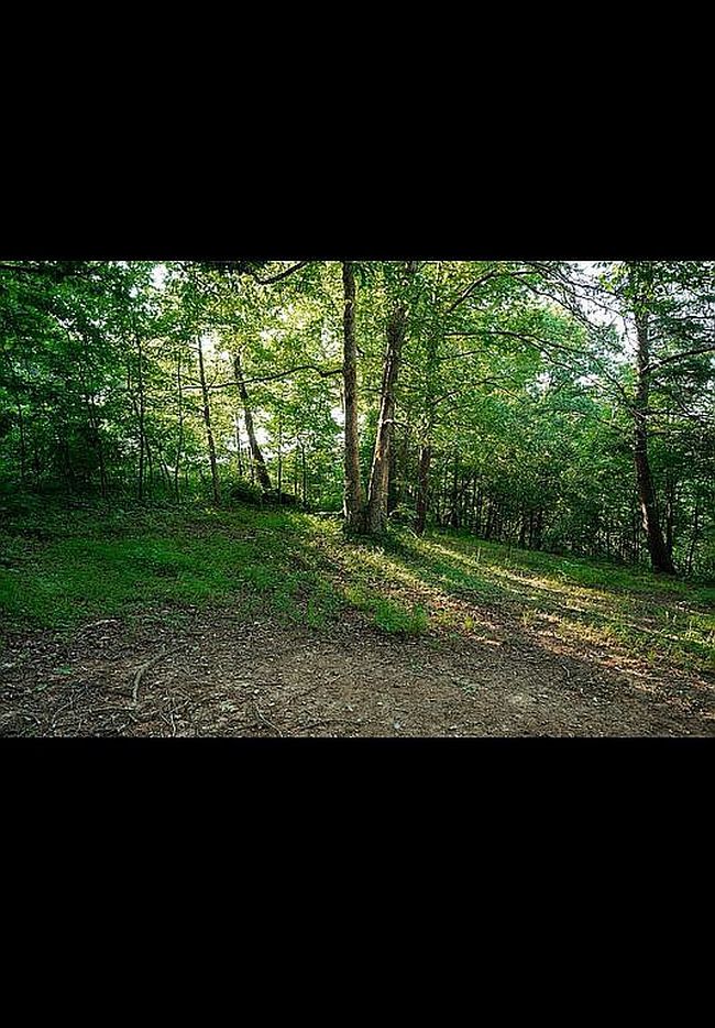 Additional photo 2 of property located at 890 Silver Ridge Rd