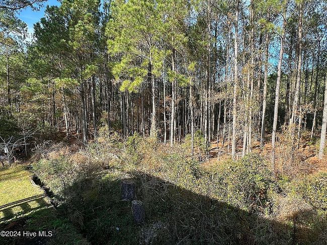 Photo of 640 Old Pamlico Beach Rd W, Belhaven, NC