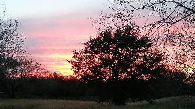 Photo of 1870 W Fm 140, Jourdanton, TX