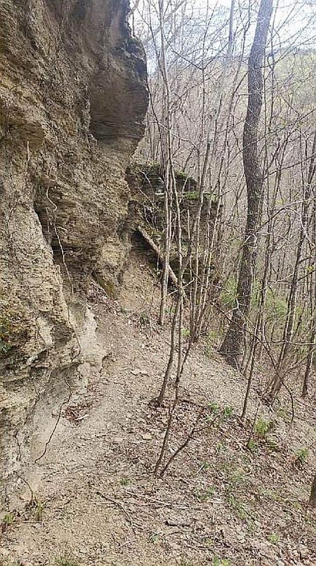 Image of 0 Mud Fork Rd