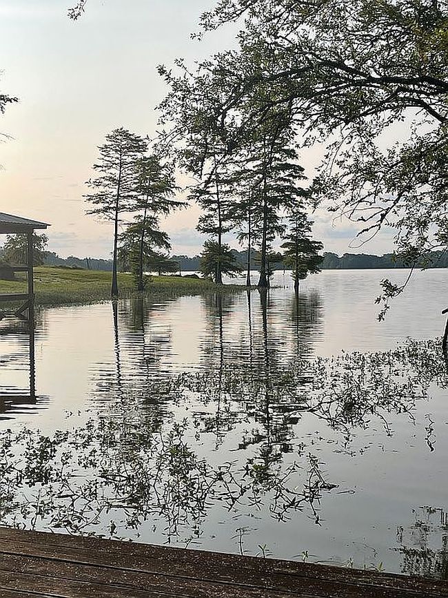 Photo of 355 Simone Ln, Many, LA