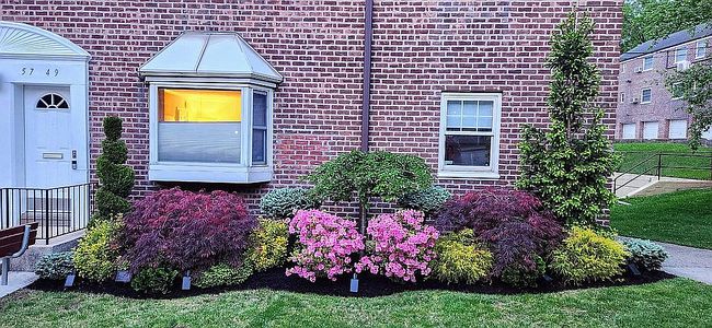 Image of 57-49 Marathon Pkwy #323
