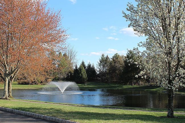 Image of 2387 Crisfield Cir