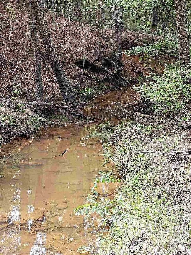 Photo of 0 Ocelot Rd