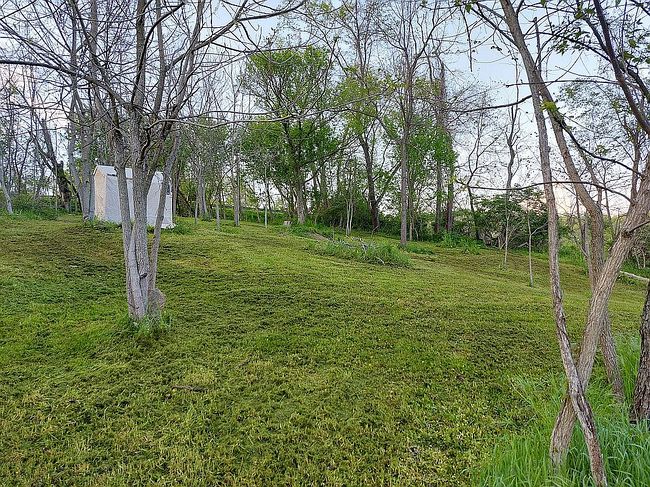 Additional photo 2 of property located at 0 State Highway 519