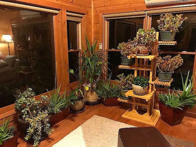 Photo of 3609 Foxfire Way, Sevierville, TN