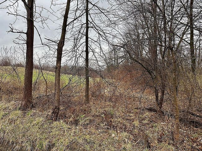 Image of 2600 W Middletown Rd