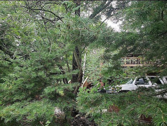 Image of 903 Coyote Ave