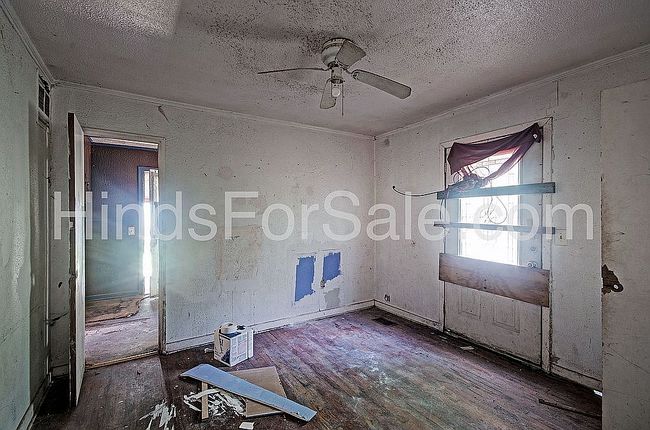Photo of 4128 Cedar St, Jackson, MS