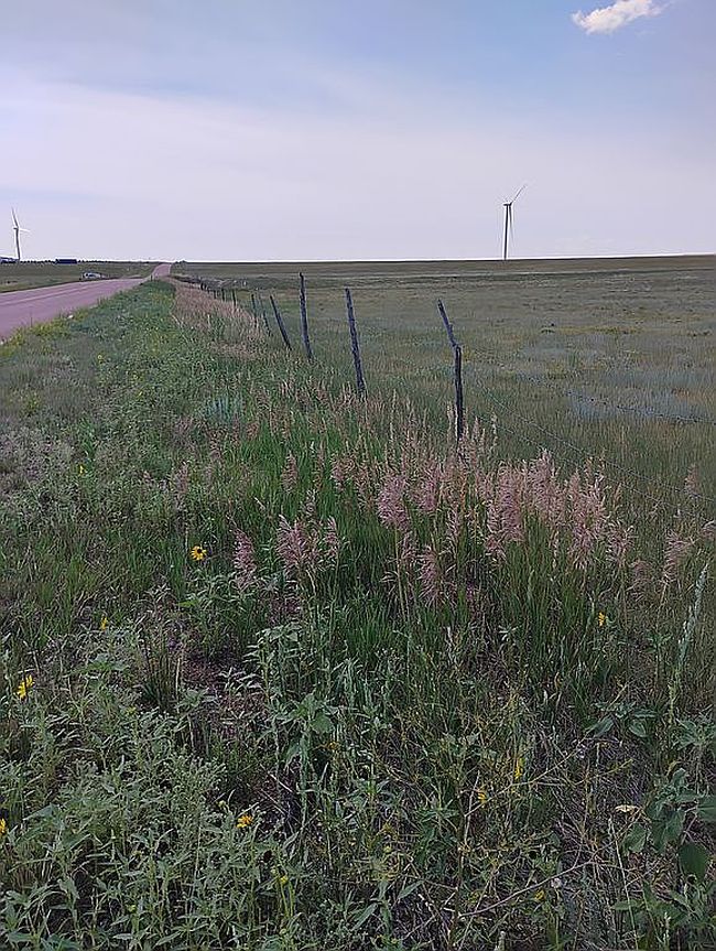 Photo of 8 Calhan Hwy