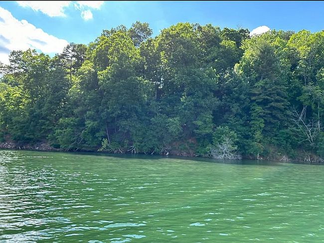 Photo of 291 Crest View Dr S, Nebo, NC