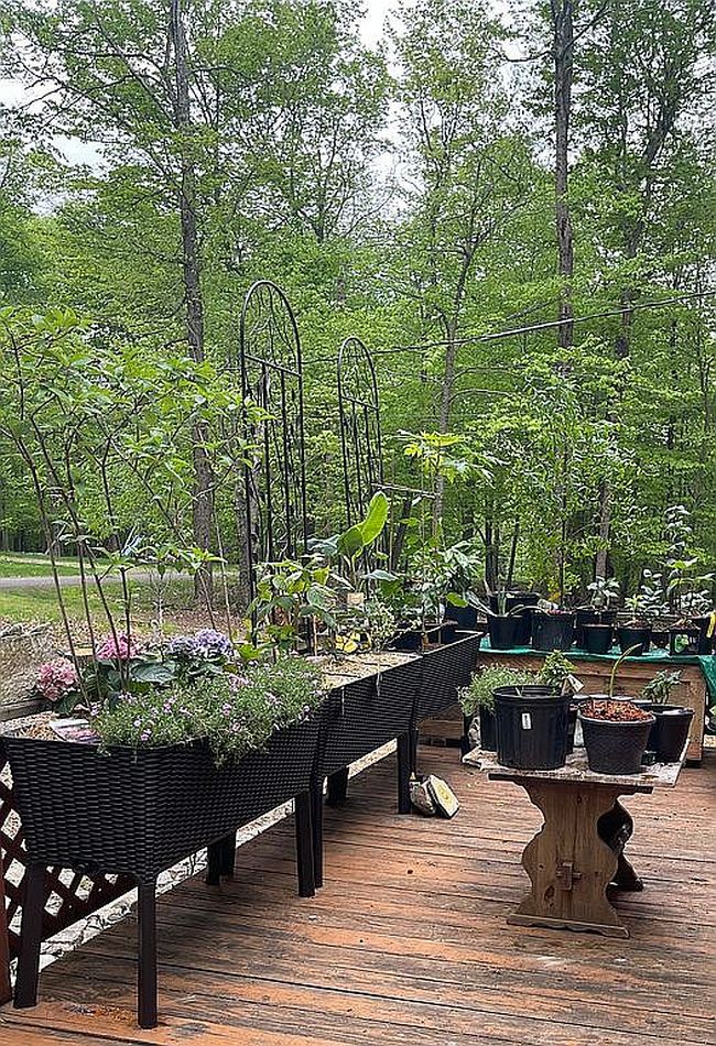 Image of 1021 Winnebago Ct