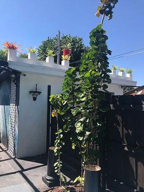 Additional photo 3 of property located at 501 57th St