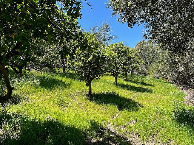 Image of 26055 Avenida Del Oro