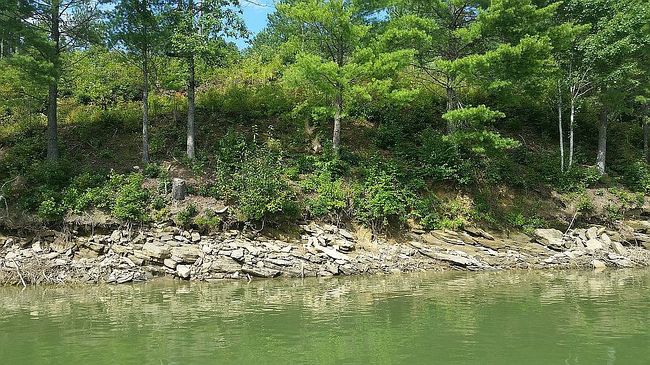 Photo of 1 Big Knoll Dr, Blairsville, GA