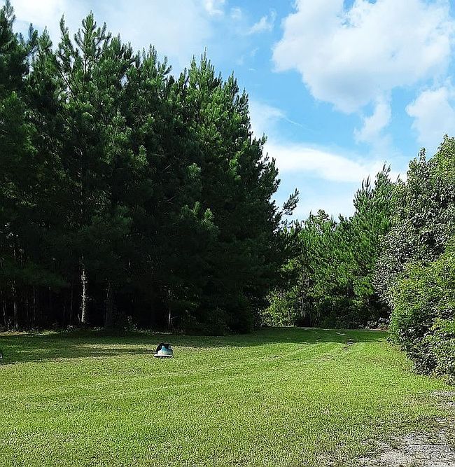 Photo of 11957 Pleasant Hill Dr, Hemingway, SC