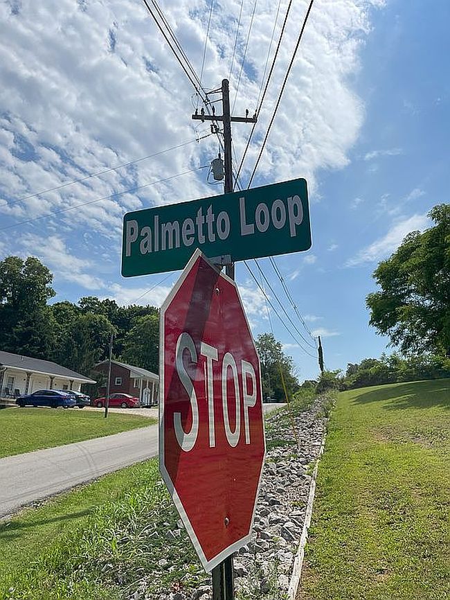 Image of 222 Palmetto Loop