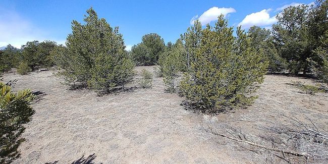 Image of 10766 Sawatch Range Rd Lot 8