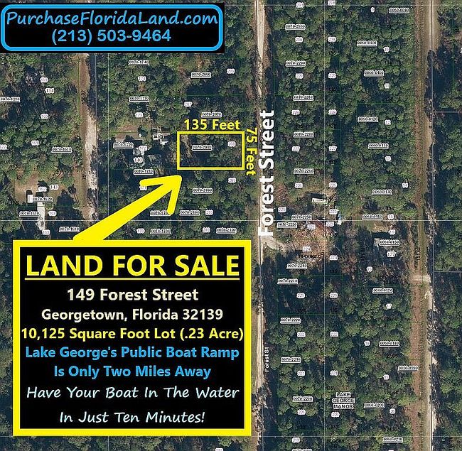 Image of 149 Forest St