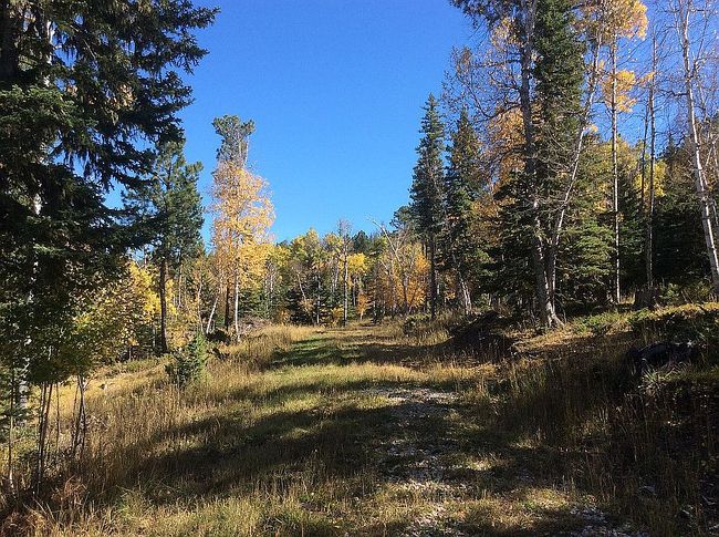 Photo of 21315 Spring Run Rd, Deadwood, SD