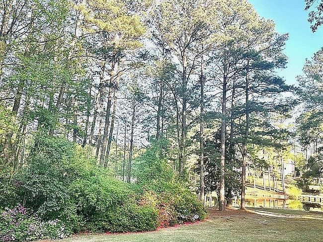 Image of 308 Summertime Rd