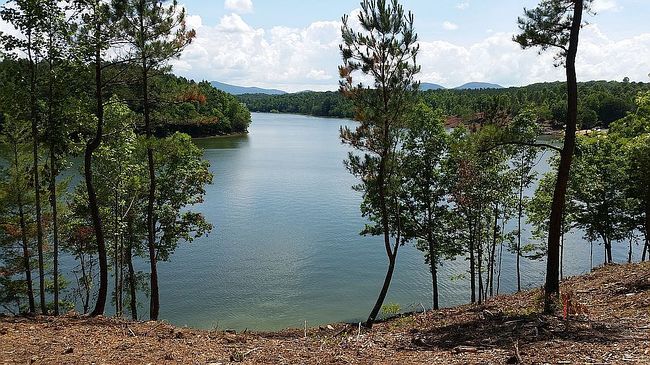 Image of 0 Big Knoll Dr
