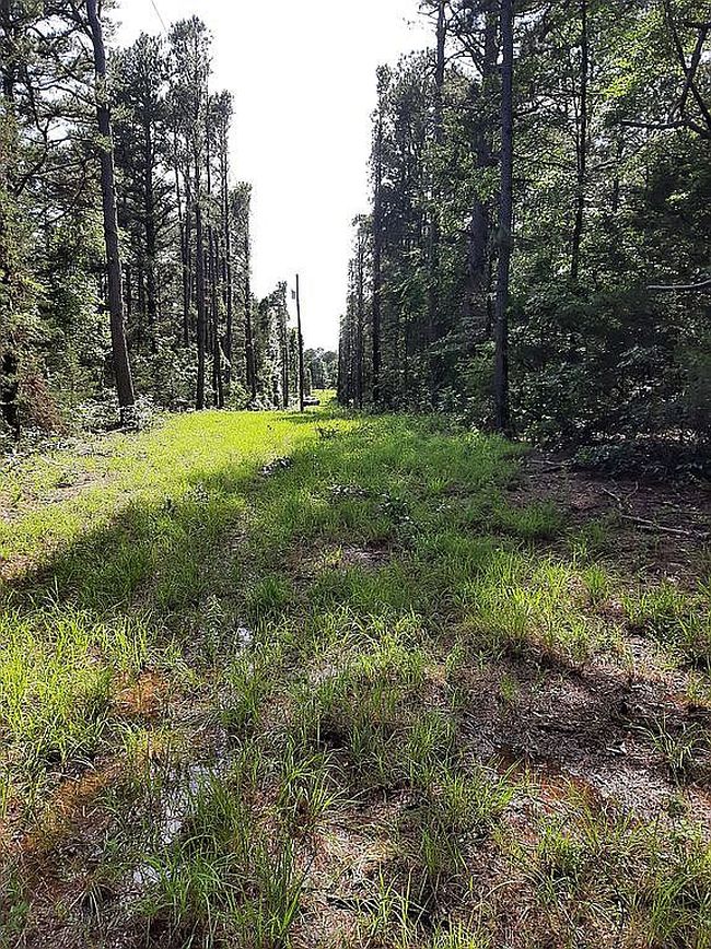 Image of 1328 Scrogins Creek Rd