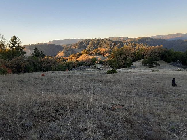 Image of 20543 Fort Ross Rd