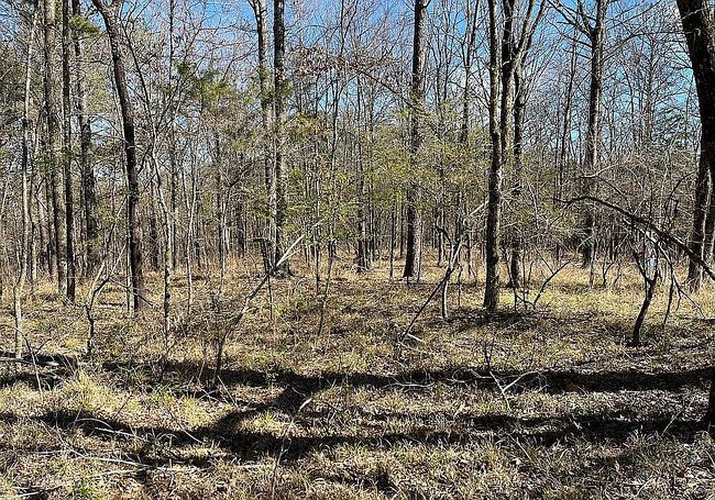 Image of 246 Highway 463
