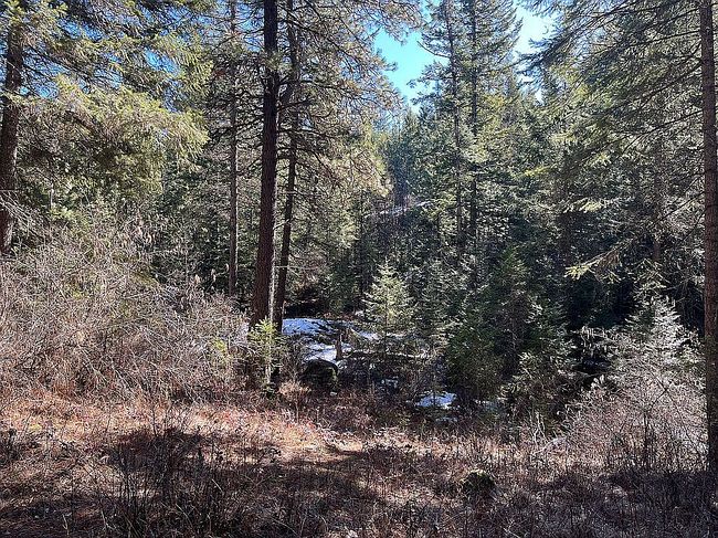 Image of 514 Destiny Bay Rd