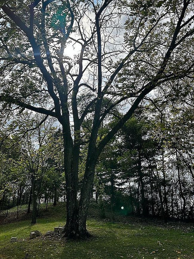 Photo of 86 Eldersville Rd, Burgettstown, PA
