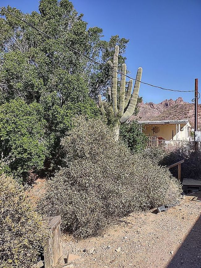 Preview of property located at 796 W Moon Vista St