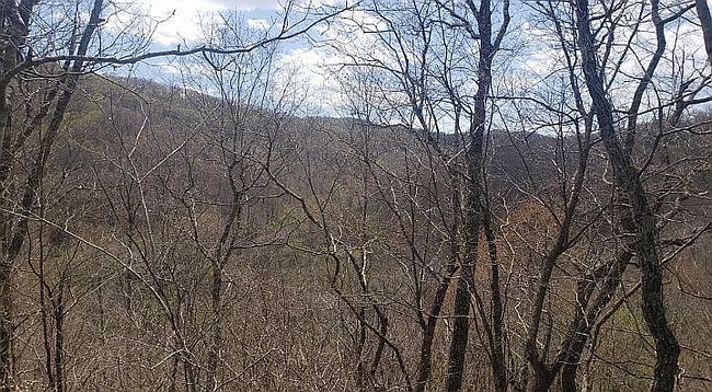 Image of 0 Mud Fork Rd
