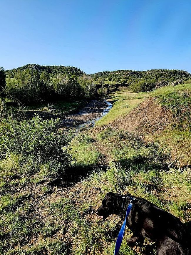 Photo of 7490 Red Creek Springs Rd, Pueblo, CO