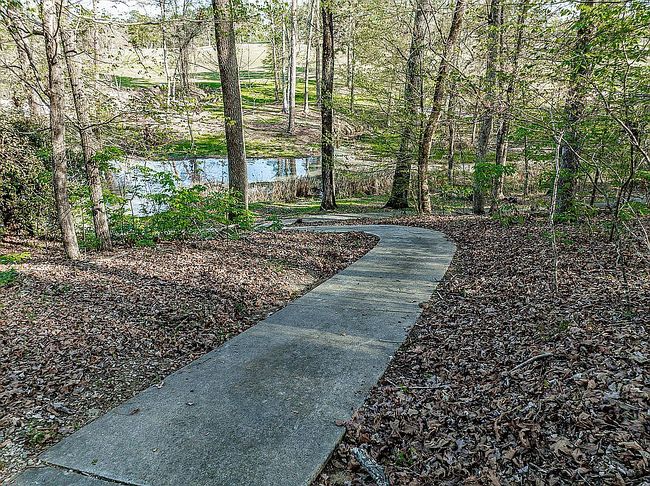 Image of 281 Rose Creek Dr