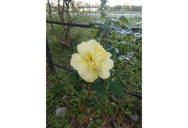 Additional photo 1 of property located at 370 Fs 514